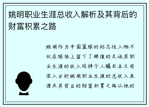 姚明职业生涯总收入解析及其背后的财富积累之路