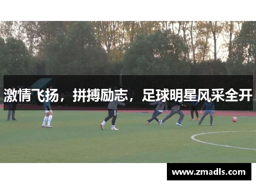 激情飞扬，拼搏励志，足球明星风采全开