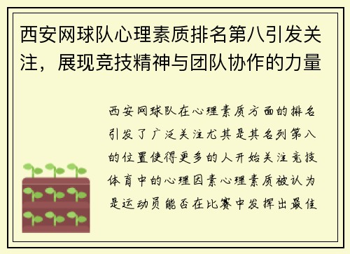 西安网球队心理素质排名第八引发关注，展现竞技精神与团队协作的力量
