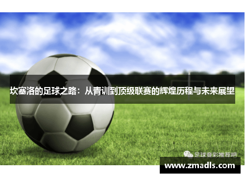 坎塞洛的足球之路：从青训到顶级联赛的辉煌历程与未来展望