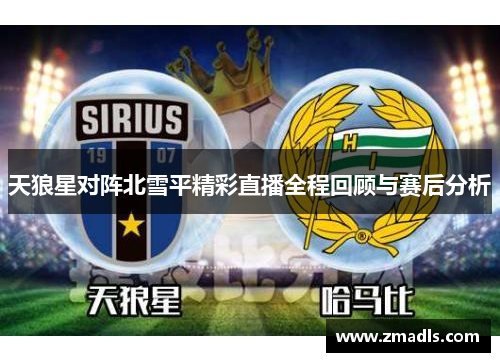 天狼星对阵北雪平精彩直播全程回顾与赛后分析